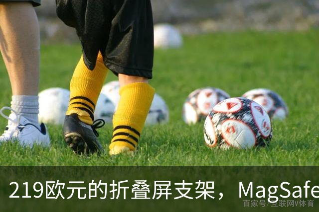 219欧元的折叠屏支架，MagSafe充电头还得另买